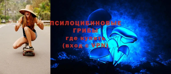 прущий лед Вяземский