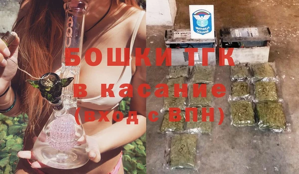 прущий лед Вяземский