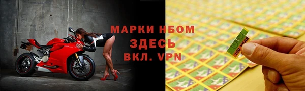 прущий лед Вяземский