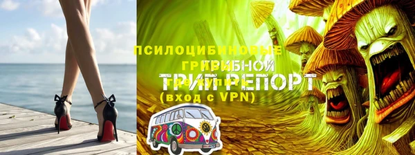 прущий лед Вяземский