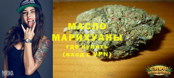 прущий лед Вяземский