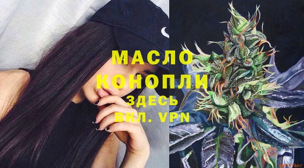 прущий лед Вяземский