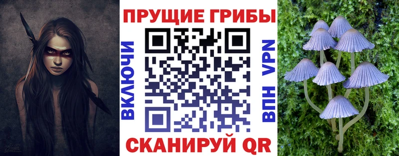 Псилоцибиновые грибы MAGIC MUSHROOMS  Купить где  Сольвычегодск 